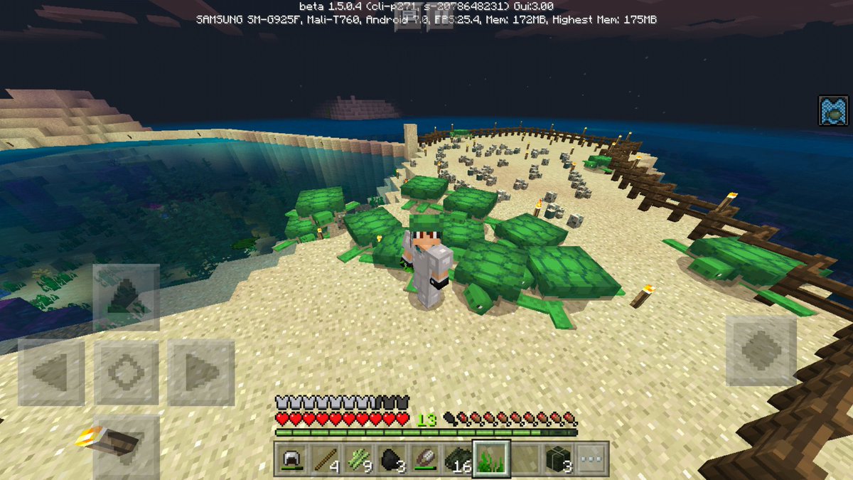 How To Make Turtle Eggs Hatch Faster In Minecraft
