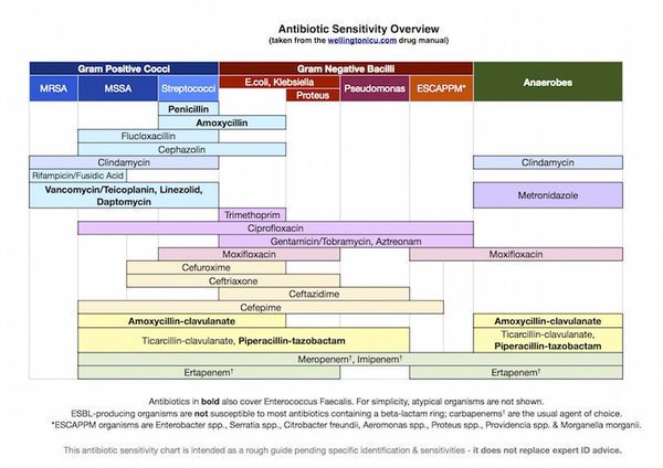 Leonard Javier HealthForAll ⌬ on Twitter Antibiotic Coverage Cheat Sheet…