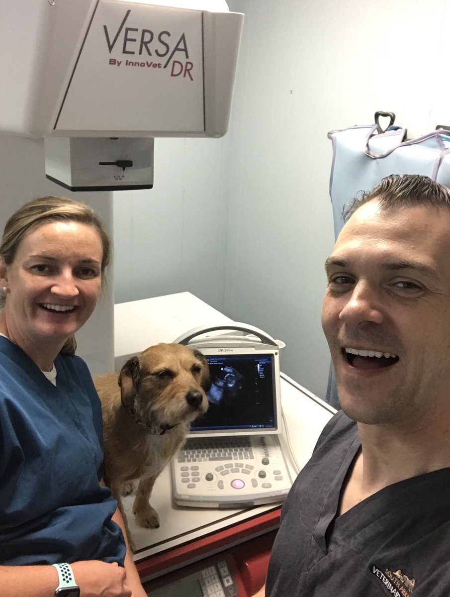 South Arkansas Veterinary Hospital (ArkansasSouth) Twitter