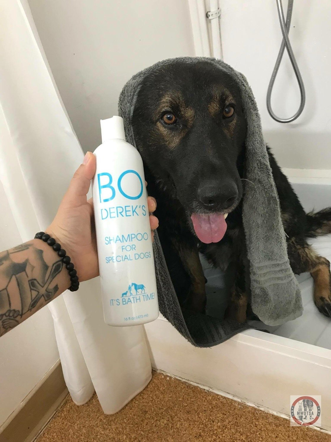 Bo Derek Pet Care on Twitter "Does your dog know when he's clean and