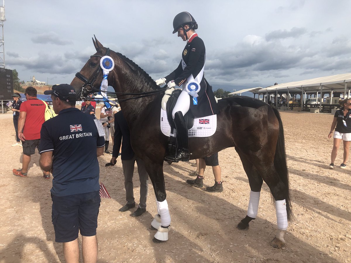 Leamside Equestrian (LeamsideEquest) Twitter