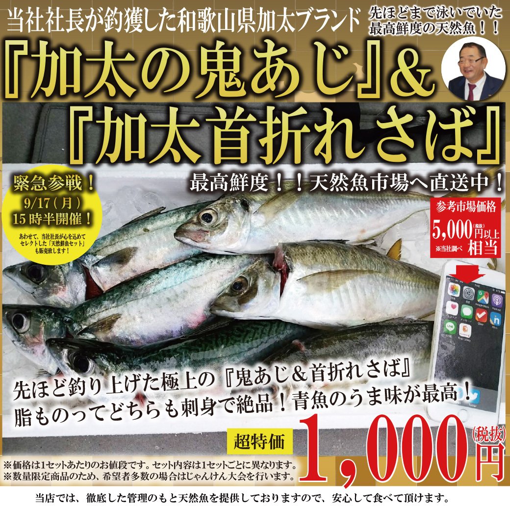 くら天然魚市場 on Twitter "【本日大漁！】 9/17(月)15時30分からの社長イベントで、社長が釣獲した和歌山県加太ブランド