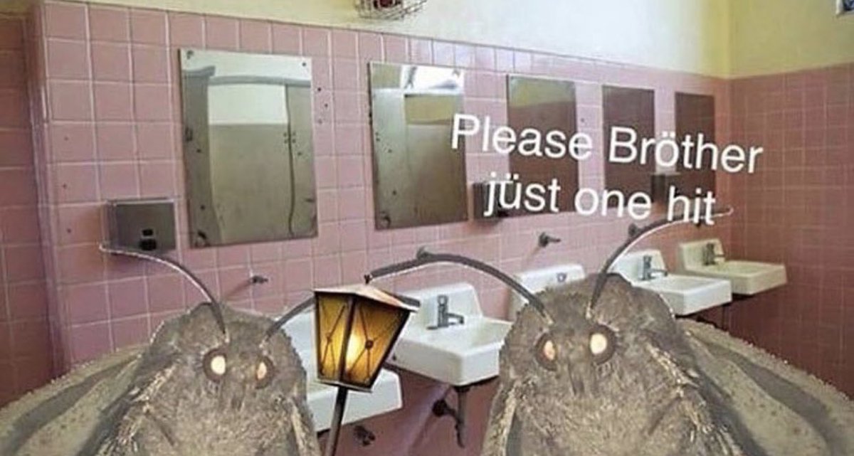 Moth Lamp Meme Brother