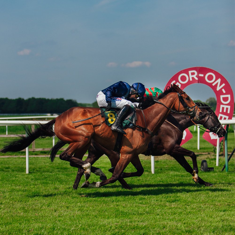 BangoronDee on Twitter Join us at BangorRaces tomorrow! Gates open at 12pm and a sevenrace