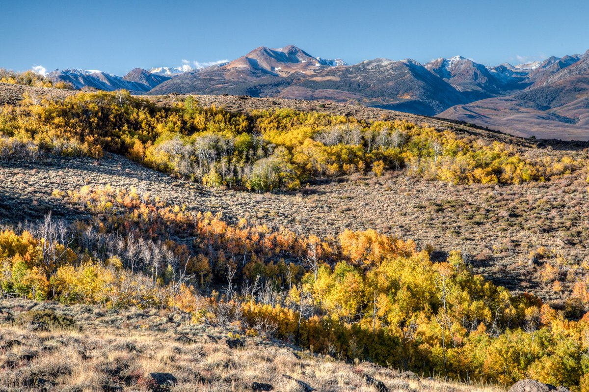 Eastern Sierra Fall Colors 2023