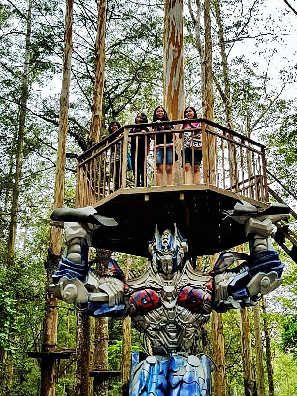 Mojosemi Forest Park Mojosemi Forest Park Sarangan Magetan Jawa Timur