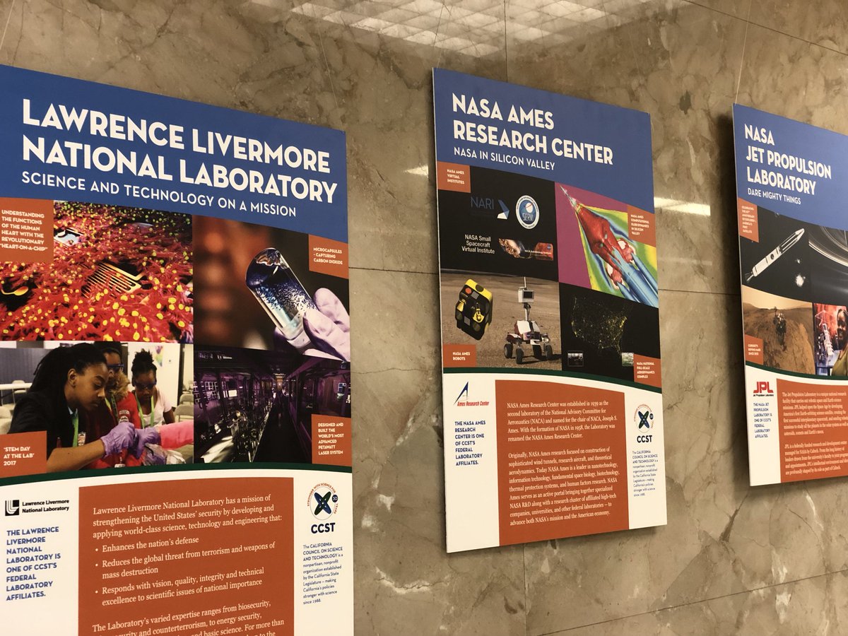 Amber Mace (AmberJMace) Twitter