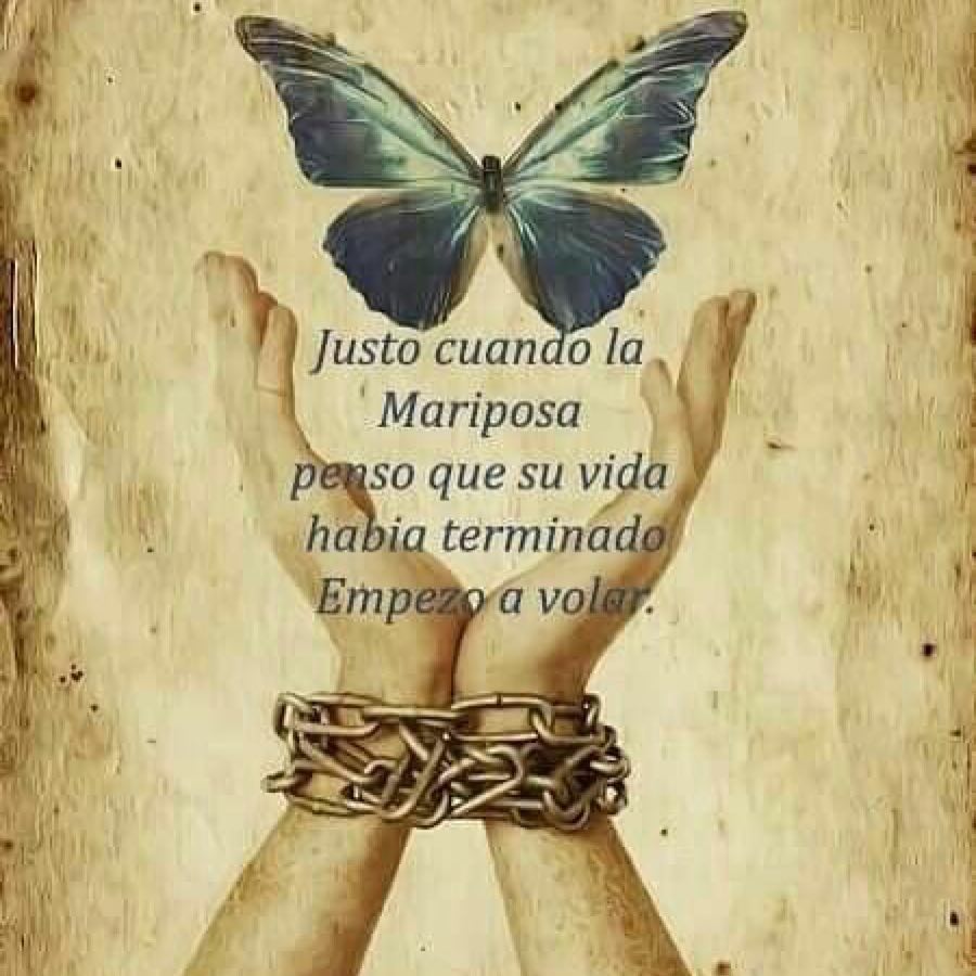 Top 173 Imagenes De Mariposas Con Frases De Reflexion vrogue.co