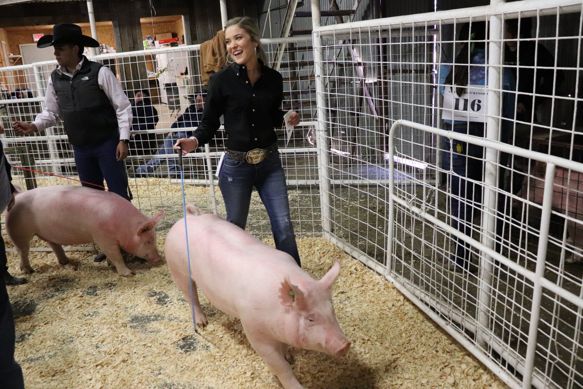 Walter Gerlach Livestock Show 2023 Photos Northside Isd On Twitter: "#Thisisnorthside- Thursday Is 🐷 Day At The Gerlach Livestock Show! Here's A Look At Some Of Today's Action! Https://T.co/Sitkjxxix8" / Twitter