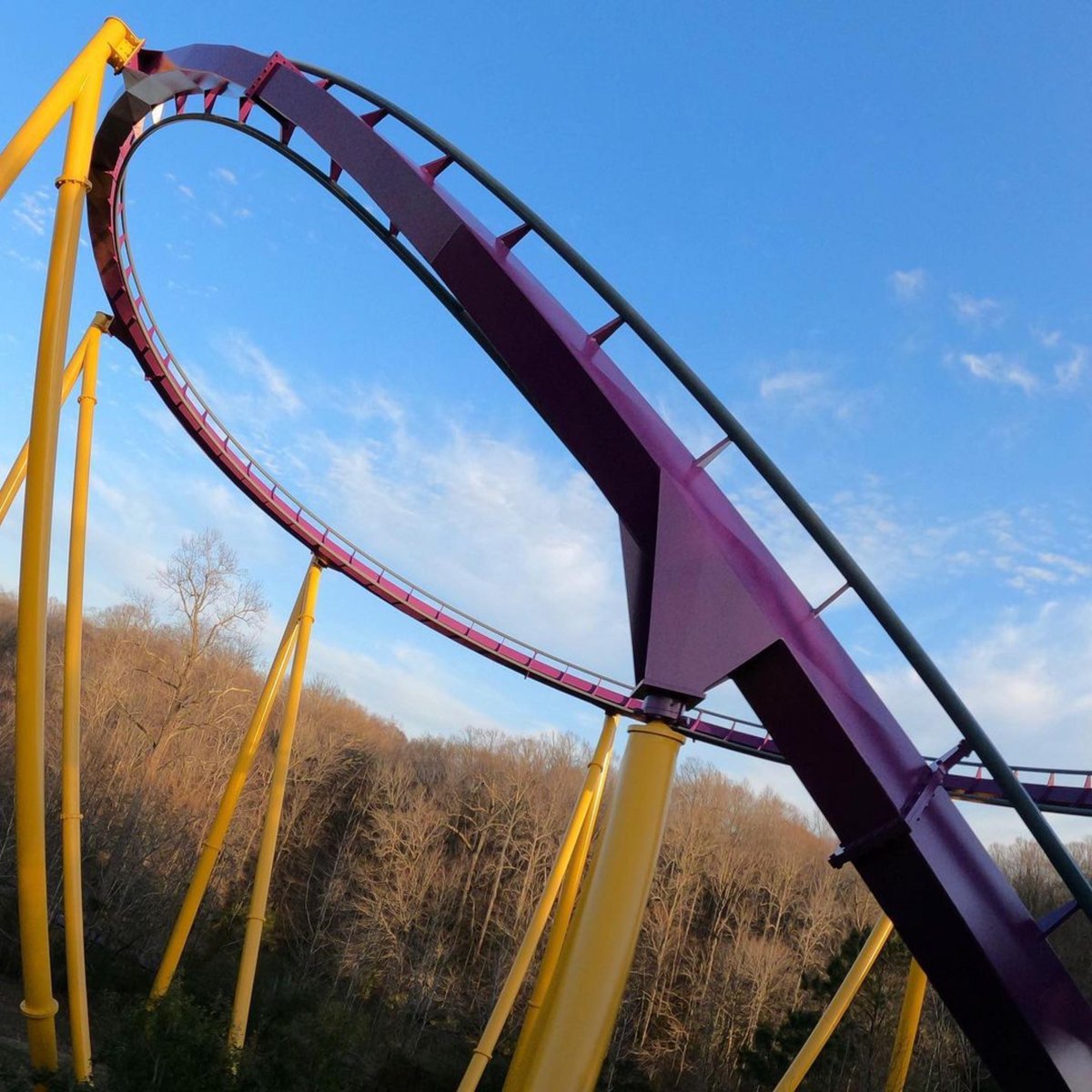 Busch Gardens Twitter Actor Barfs On Himself While