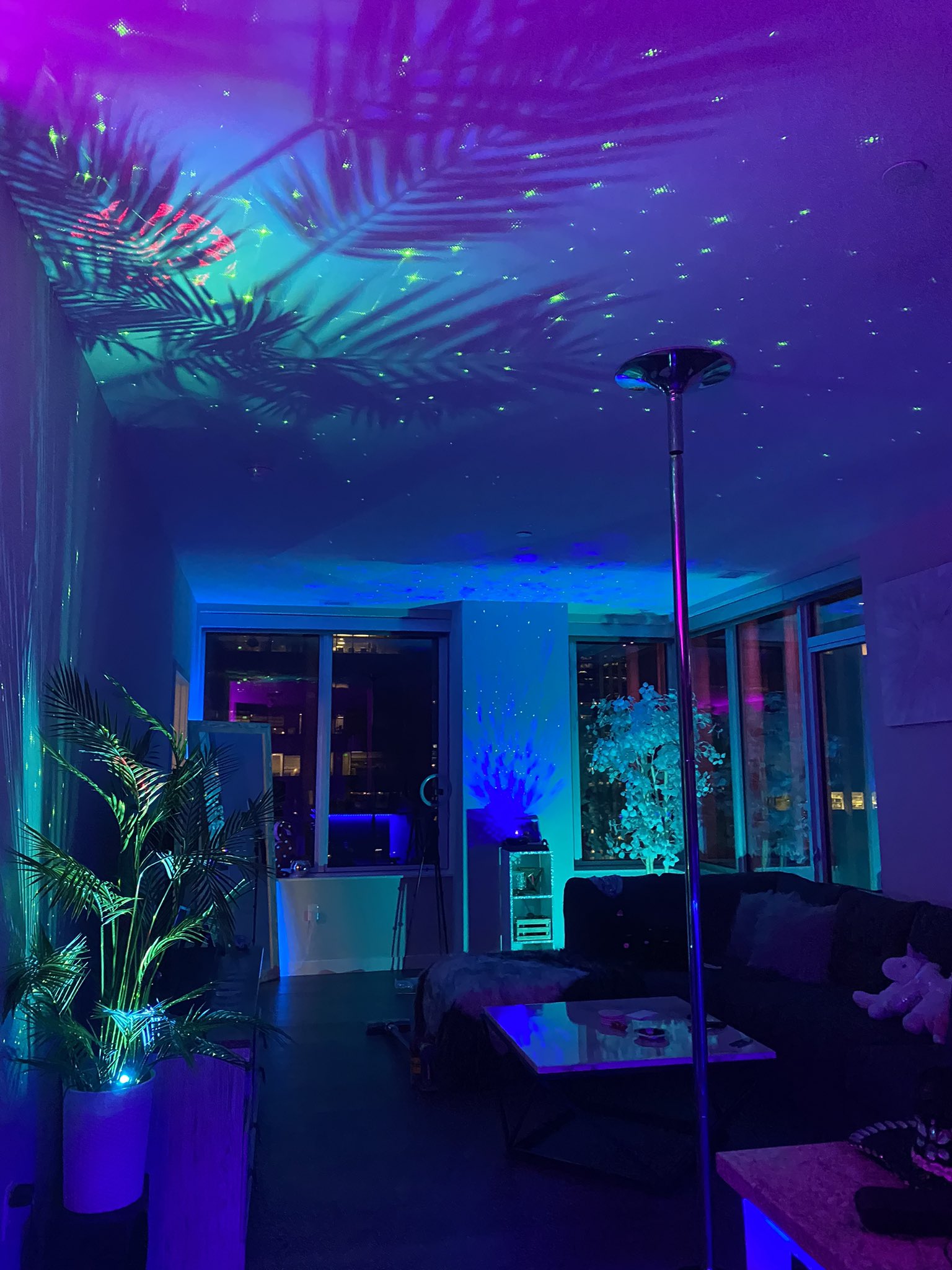 Aspen💖 on Twitter "Apparently I have turned my apartment into an