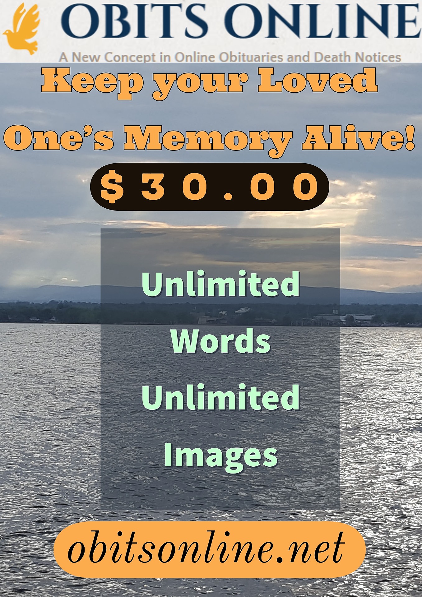 Obits Online on Twitter "Permanent Forever Obituary only 30.00