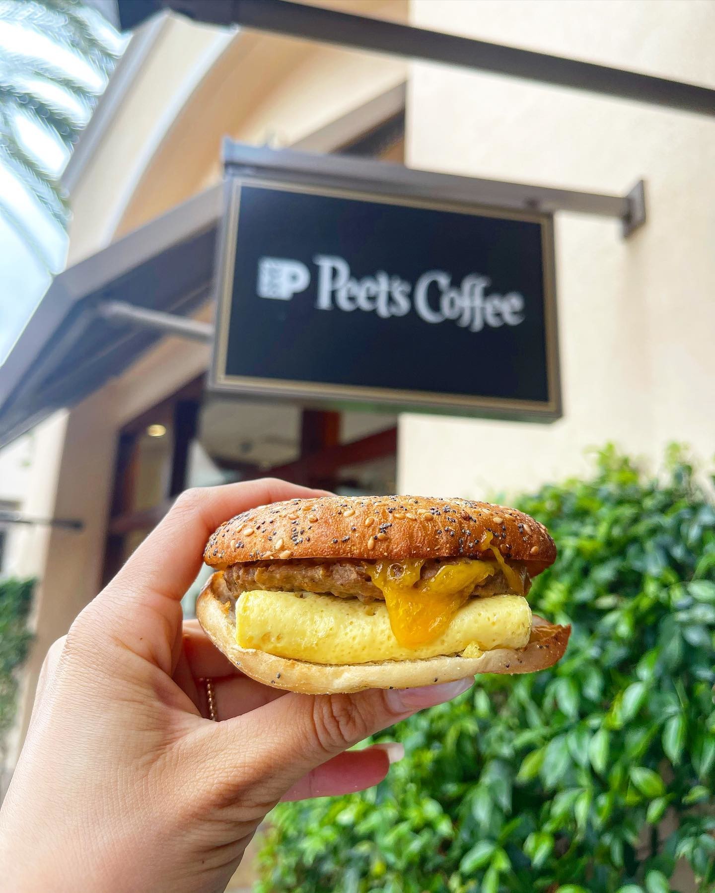 Peet's Coffee on Twitter "Have you tried our Everything PlantBased