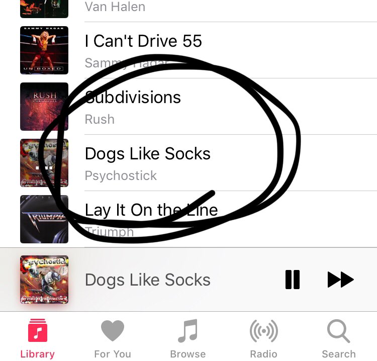 Psychostick Dogs Like Socks I'm a dog and i like socks. is a line