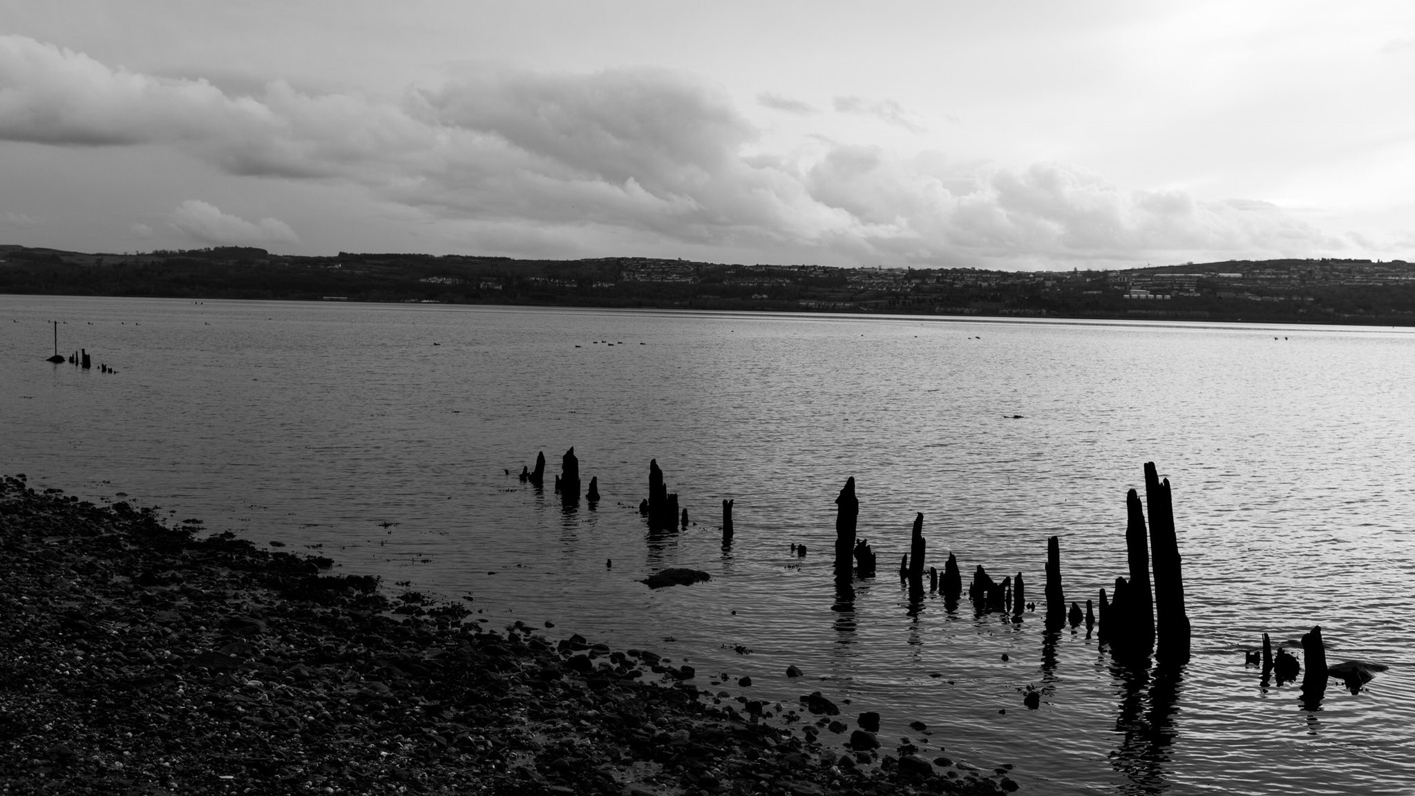 FanaticPhoto on Twitter "The Clyde Estuary, Cardross Beach, Scotland. clydeestuary riverclyde