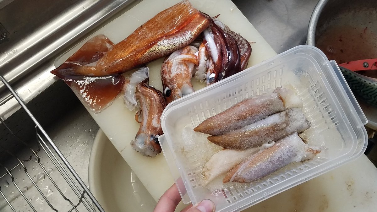 トップ100イカ の 塩辛 釣り 魚のすべて