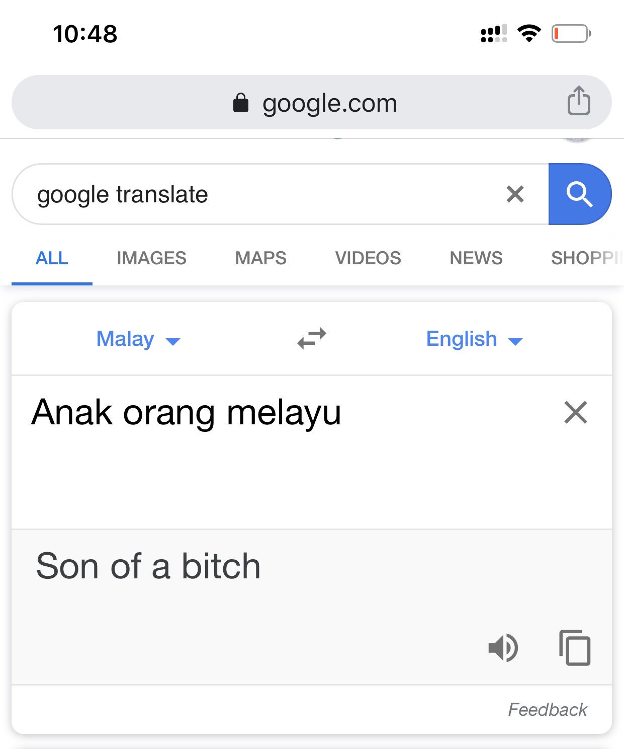 cit cat translate english malay