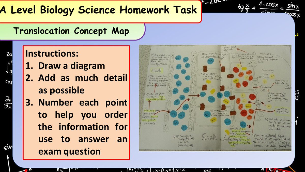 Aqa Biology Gcse Past Papers 2019