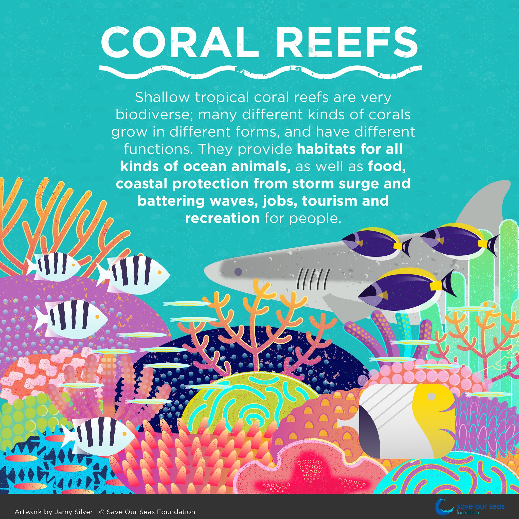 Save Our Seas on Twitter "Coral reefs are a vital part of the earth's