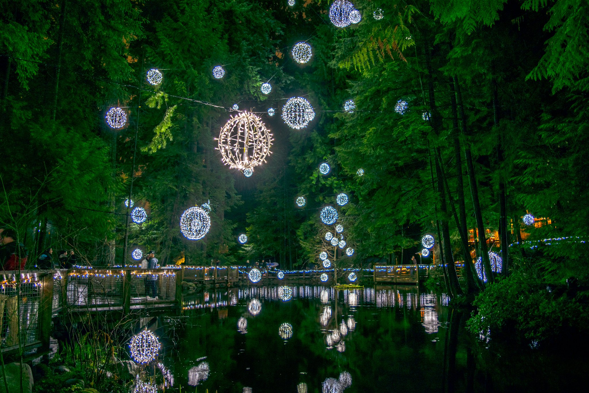 CBC British Columbia on Twitter "Christmas lights twinkle at the