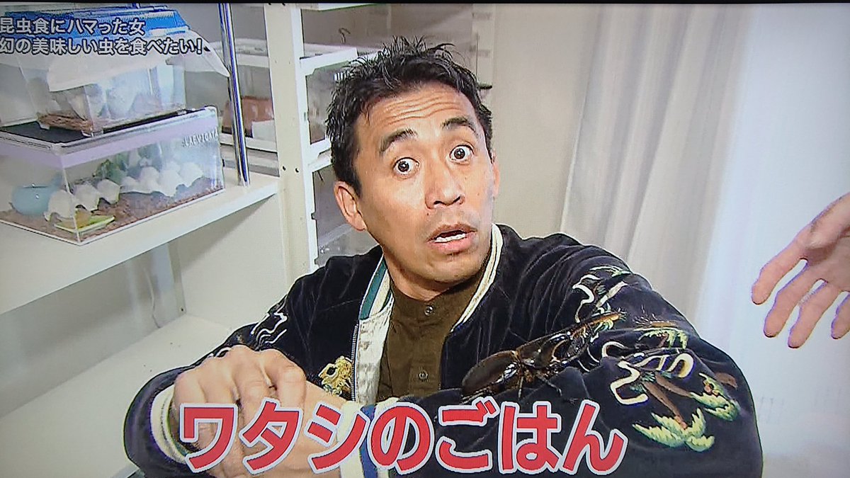 探偵！ナイトスクープで『昆虫食』が話題に！ トレンドアットTV