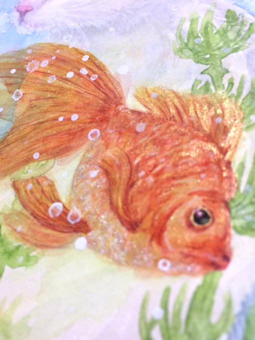 [最も選択された] イラスト 絵 手紙 金魚 267343 Mbaheblogjpw0i3