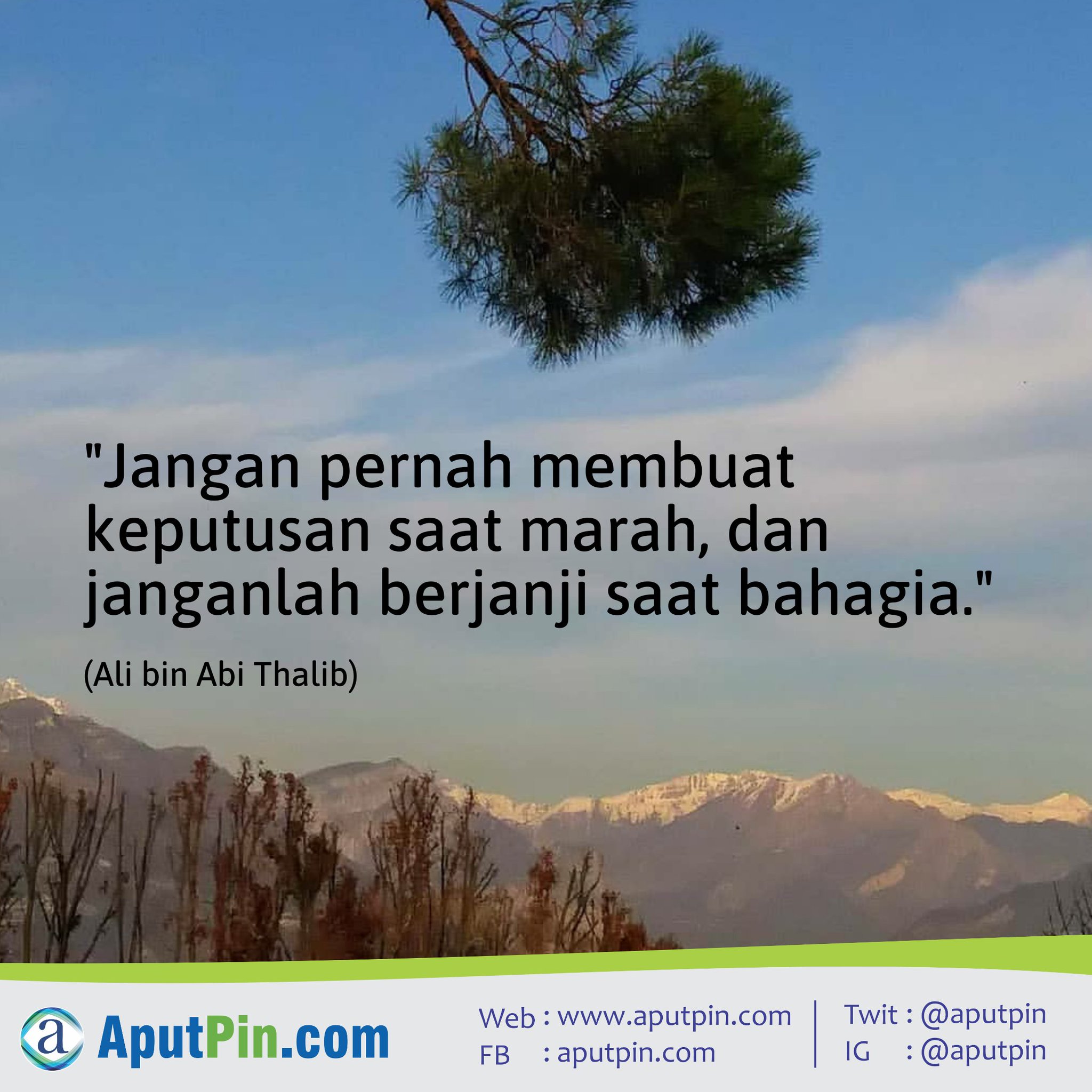 Jangan Berjanji Ketika Bahagia malaycihuahua
