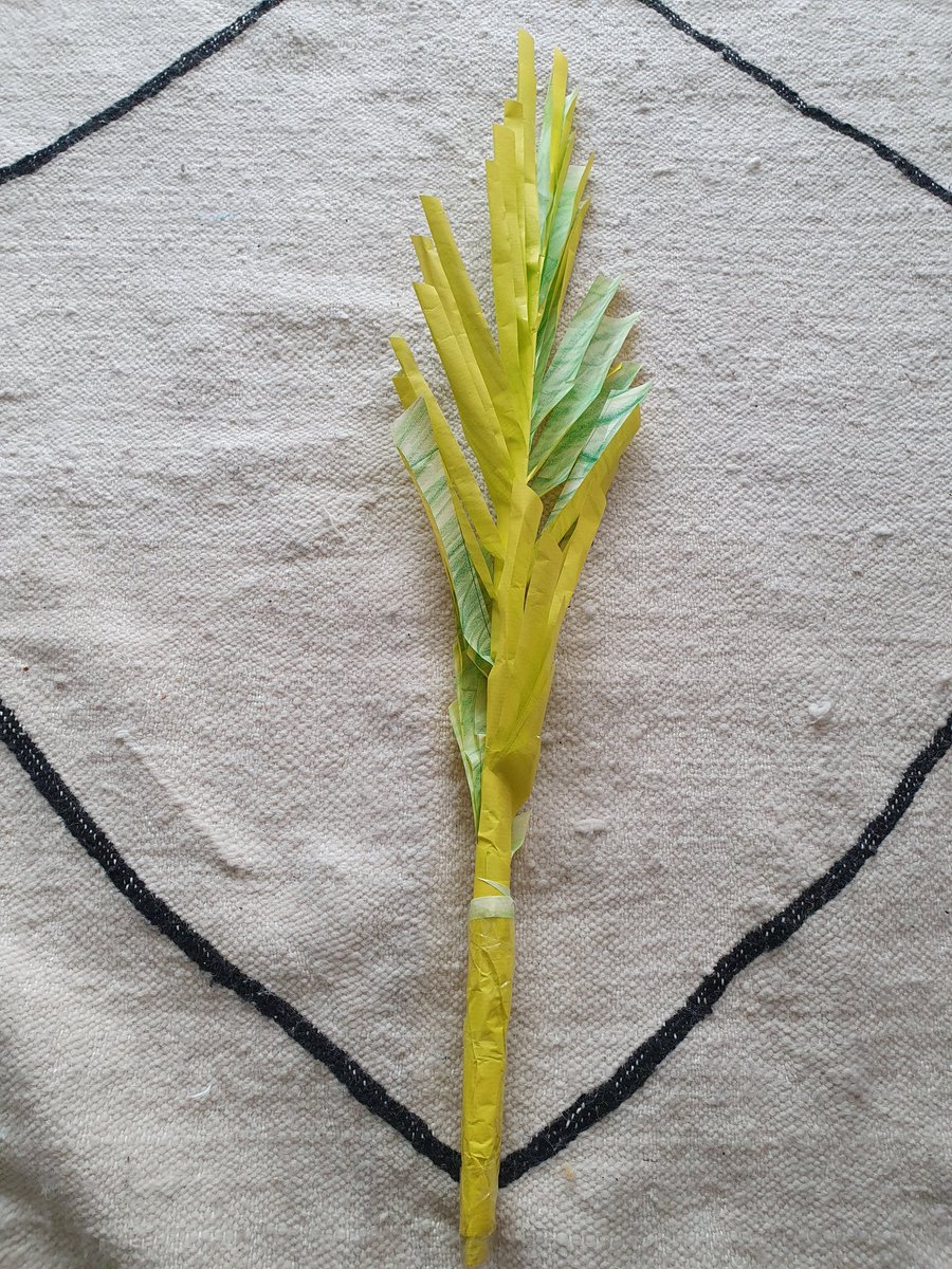 esther roda (esrherroda) Twitter