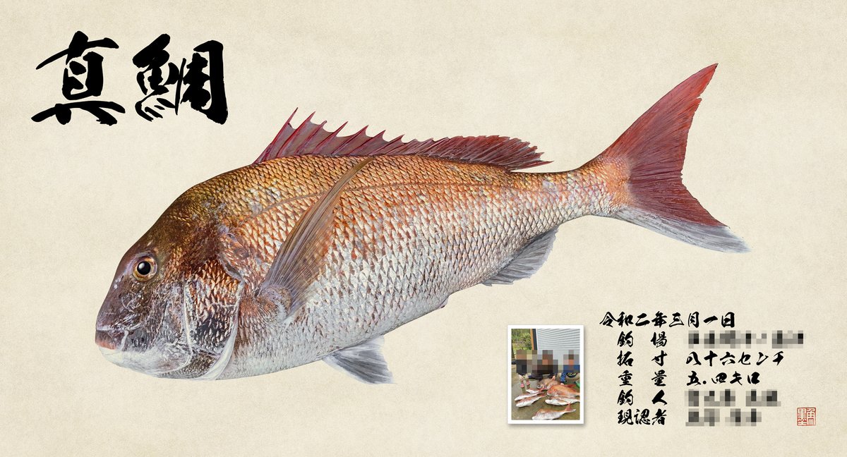 選択した画像 魚拓 画像 667203魚拓 画像 保存 quangsongojp