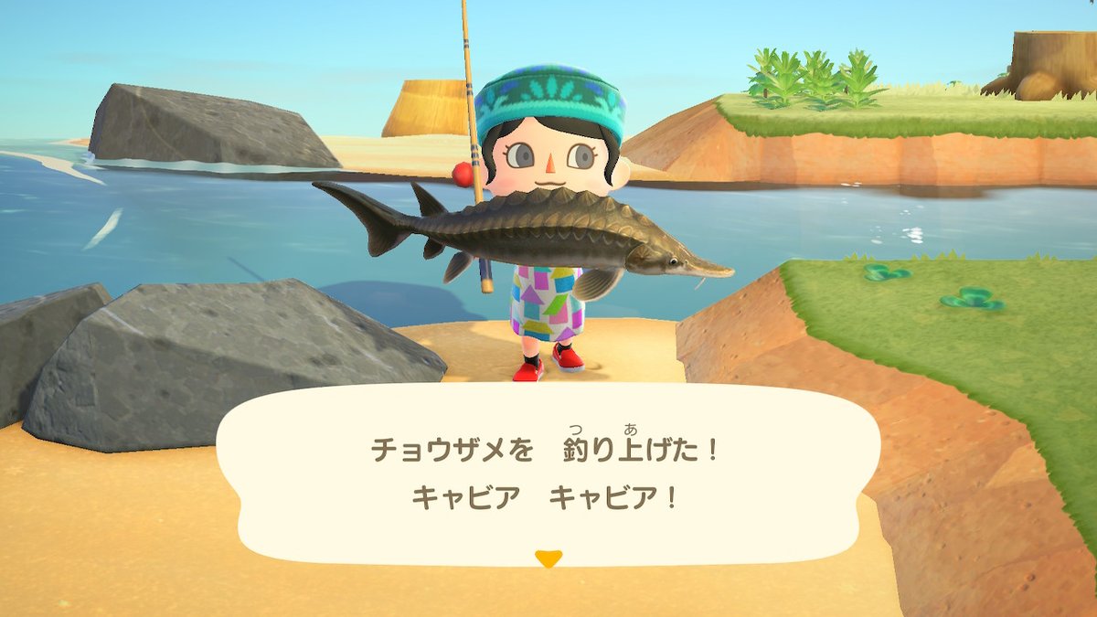 最新撒き餌 サメ あつ森 魚のすべて