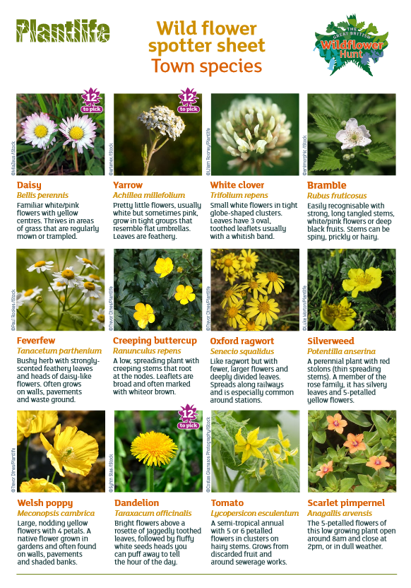 Kim Gallaher (CuriousBotanist) Twitter