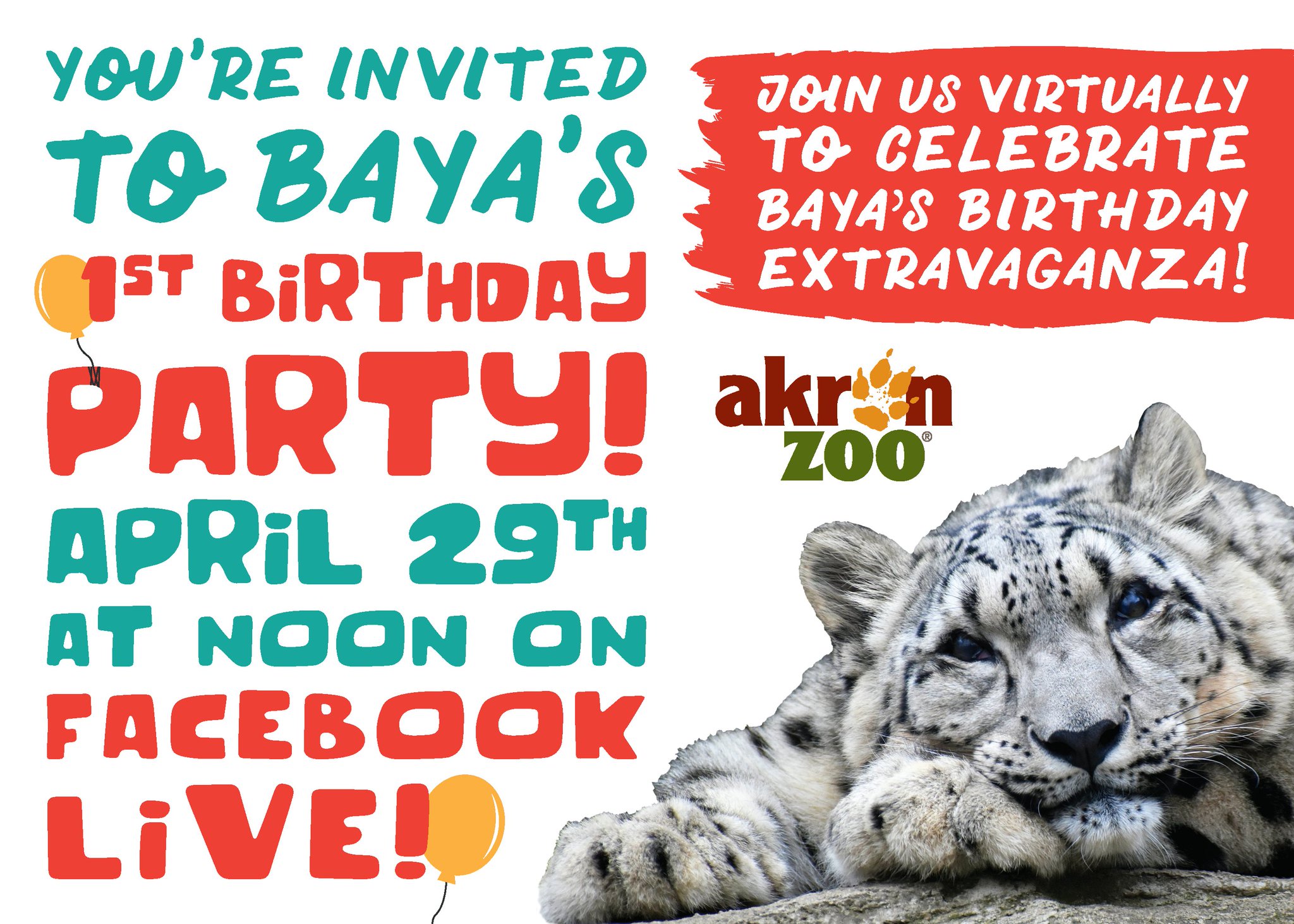 Akron Zoo on Twitter "You're invited to a party! Baya is turning one
