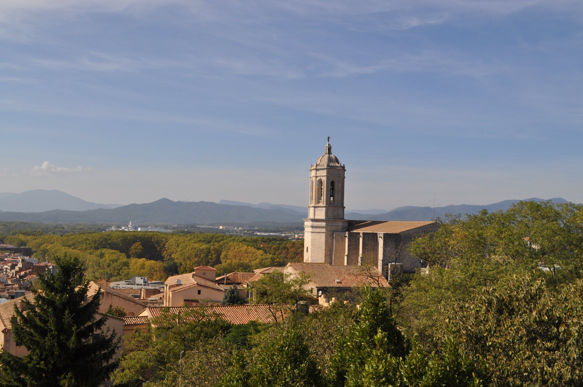 Dr. Suzana Camargo on Twitter "PhotosOfMyLife Day 4 Nominated by