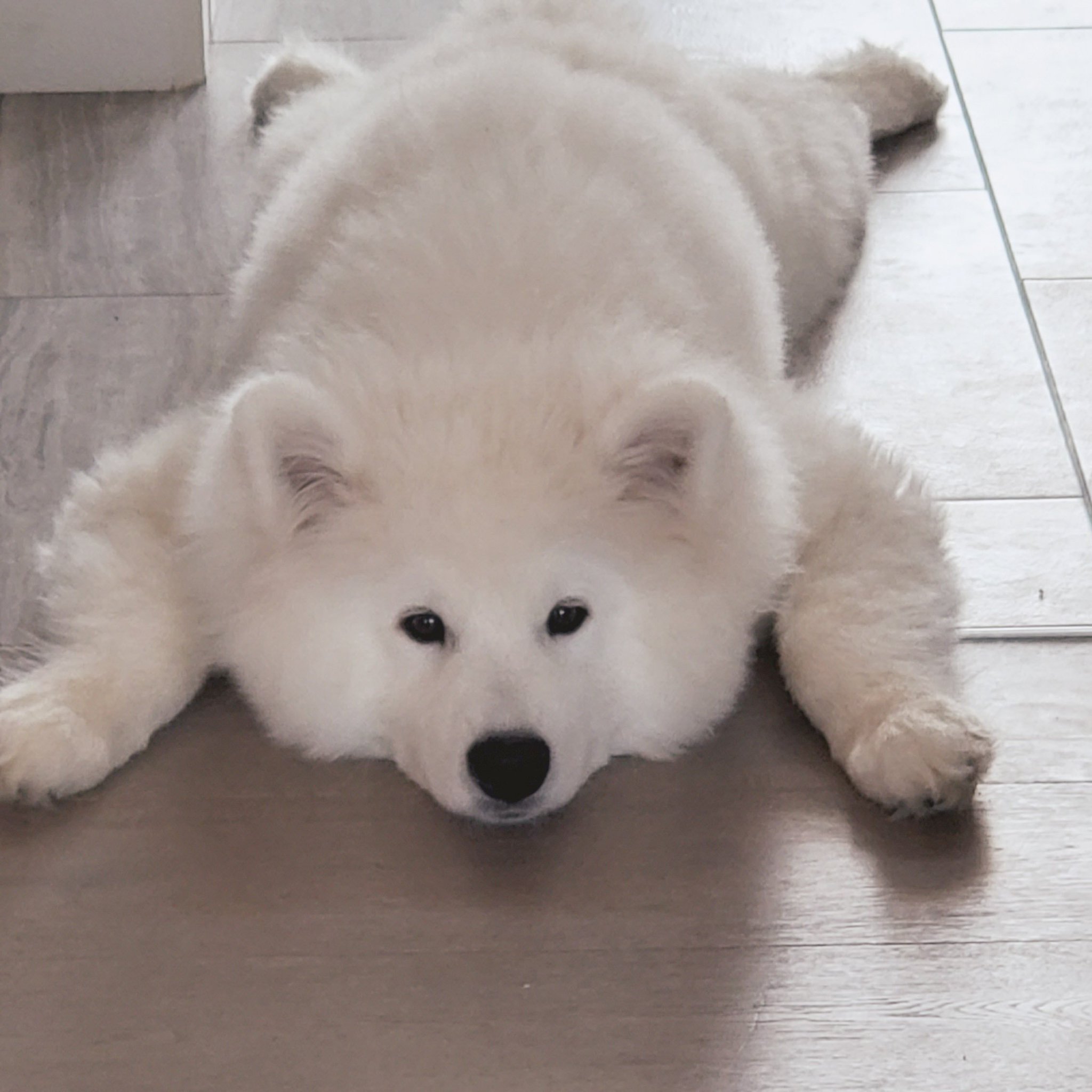 Alinity on Twitter "I don't think I'll be streaming today. Dealing(08)