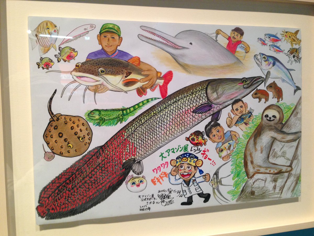 画像をダウンロード さかな 絵 133127魚 絵文字 simeji denverdrydenjp