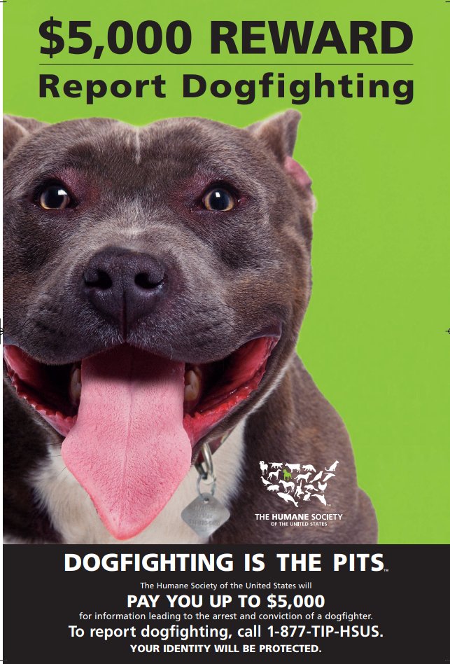 Pets in Danger on Twitter "Columbus Ohio OhioState Buckeyes 