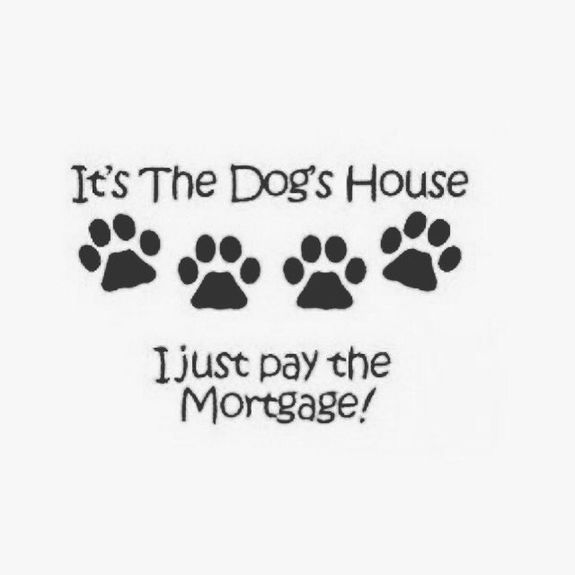 evespawcakes 🐾🐶🐾 on Twitter "Humor Sunday ☀️ Have a safe