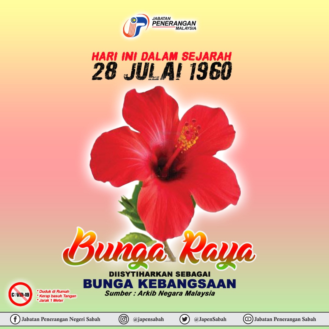 Kelopak Bunga Raya Rukun Negara / Sejarah Bunga Raya