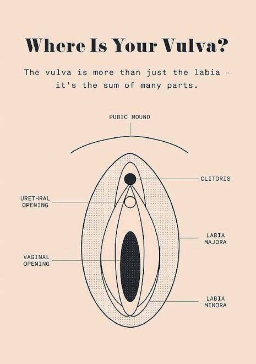 Dr Chioma Nwakanma On Twitter: "Wash Your Vulval Area, Including The Vaginal Opening, With Clean Water. No Need For Soap. Do Not Wash Your Vagina. No Need To Insert Your Finger Or