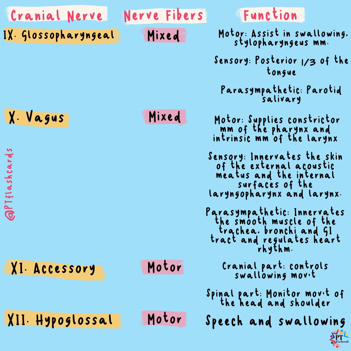 Cranial Nerves Mnemonic