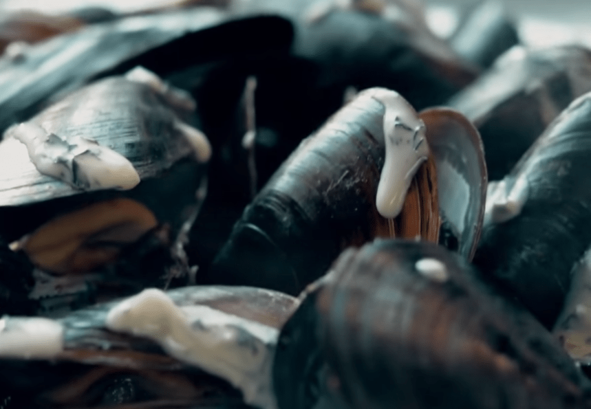 Loch Fyne UK on Twitter "Mussel Madness is back! 🦪 Now that it’s