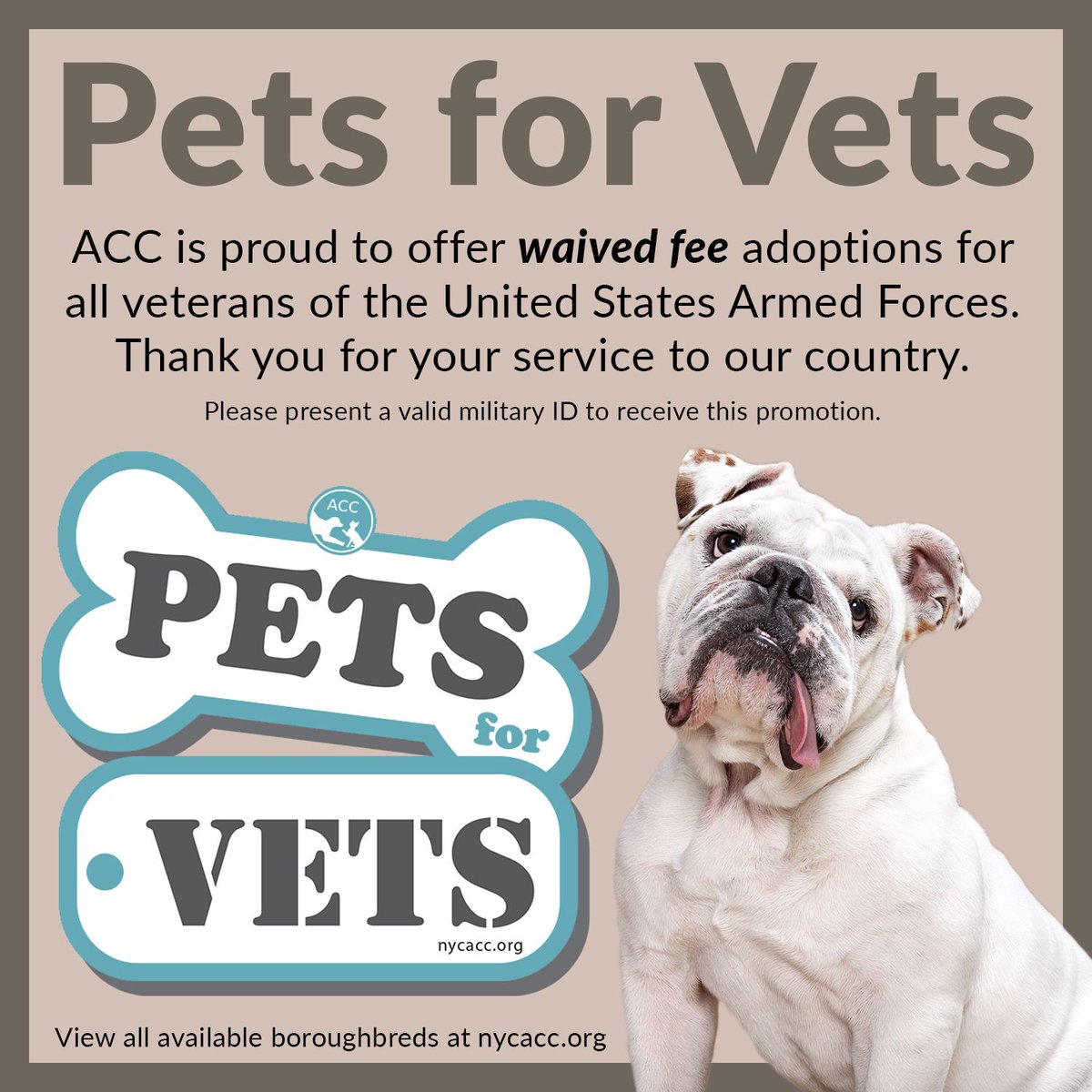 Pet Adoption Fees Waived For Veterans Near Me Anna Blog