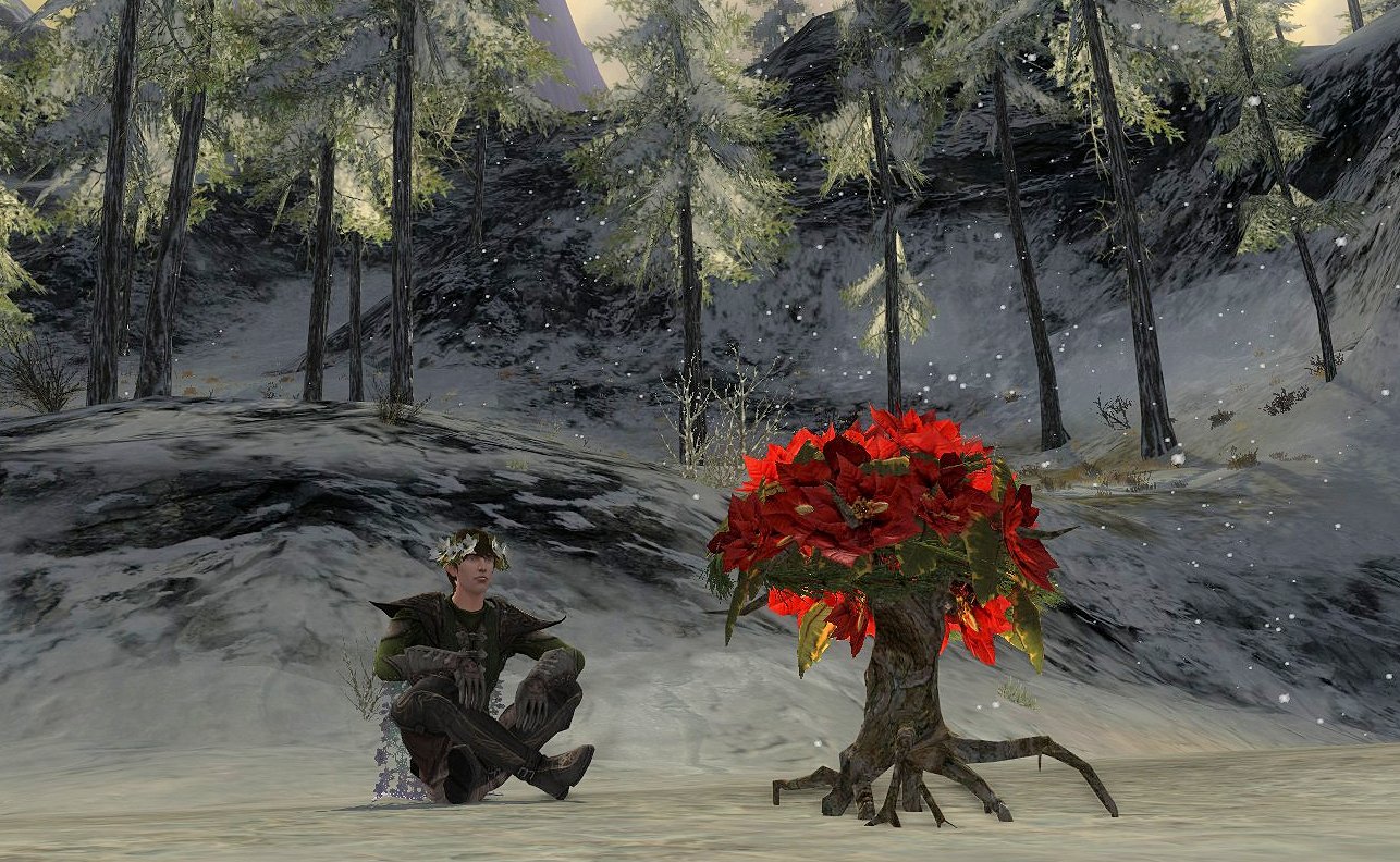 Lotro Winter Festival 2023 Lotro On Twitter: "The Yuletide Festival Continues Through January 4Th! We Hope You Enjoy This Year's Event. #Lotro Https://T.co/4Txdbjlcto" / Twitter