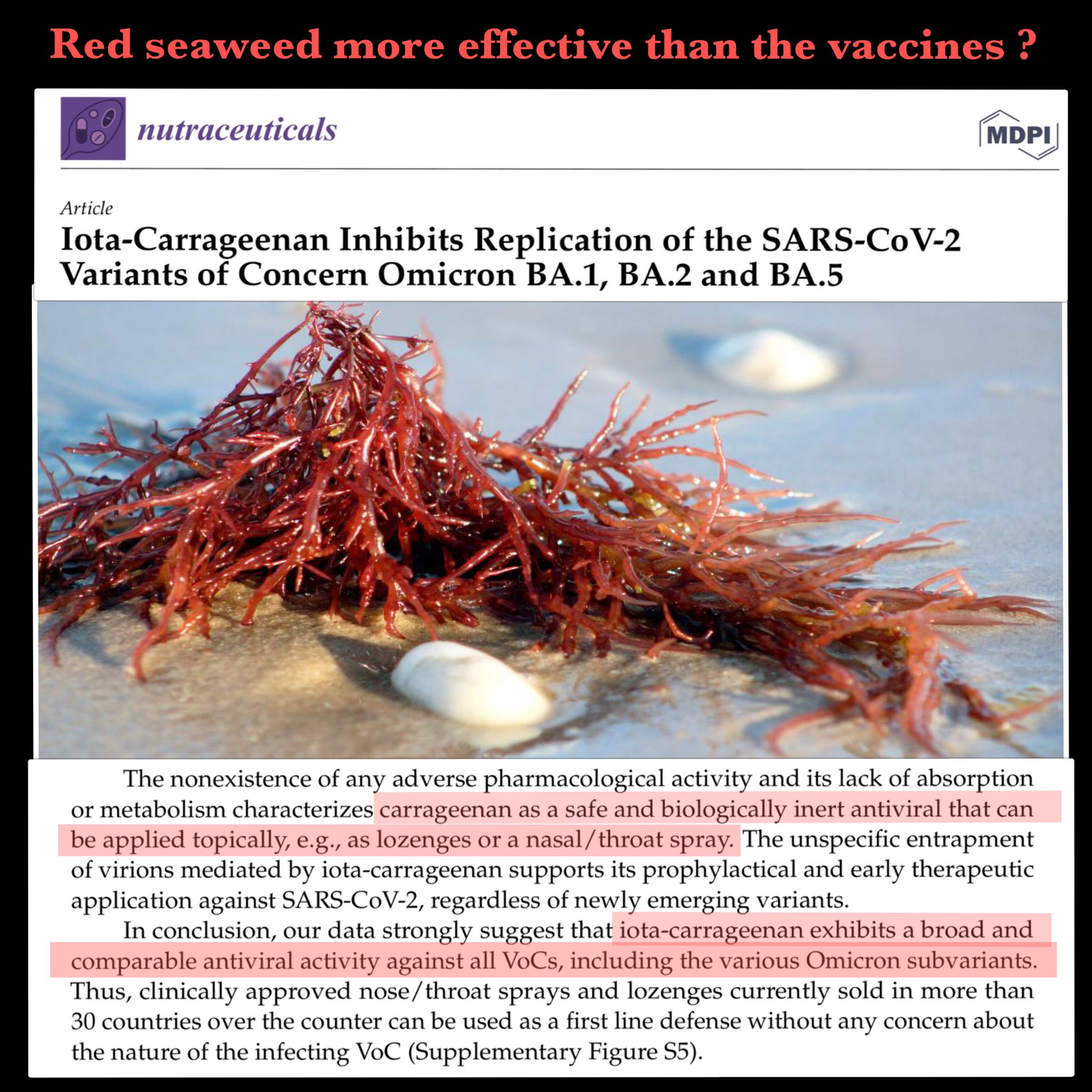 Craig Kelly on Twitter "NEW STUDY Setz et al., Nutraceuticals https