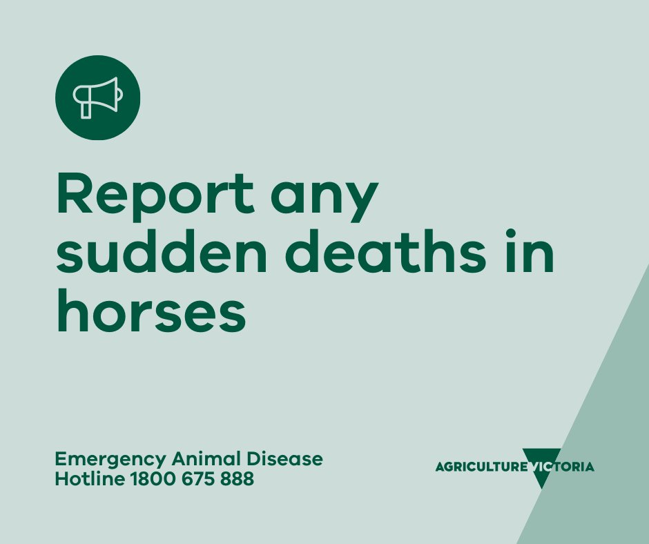 Agriculture Victoria on Twitter "Our investigation into sudden horse