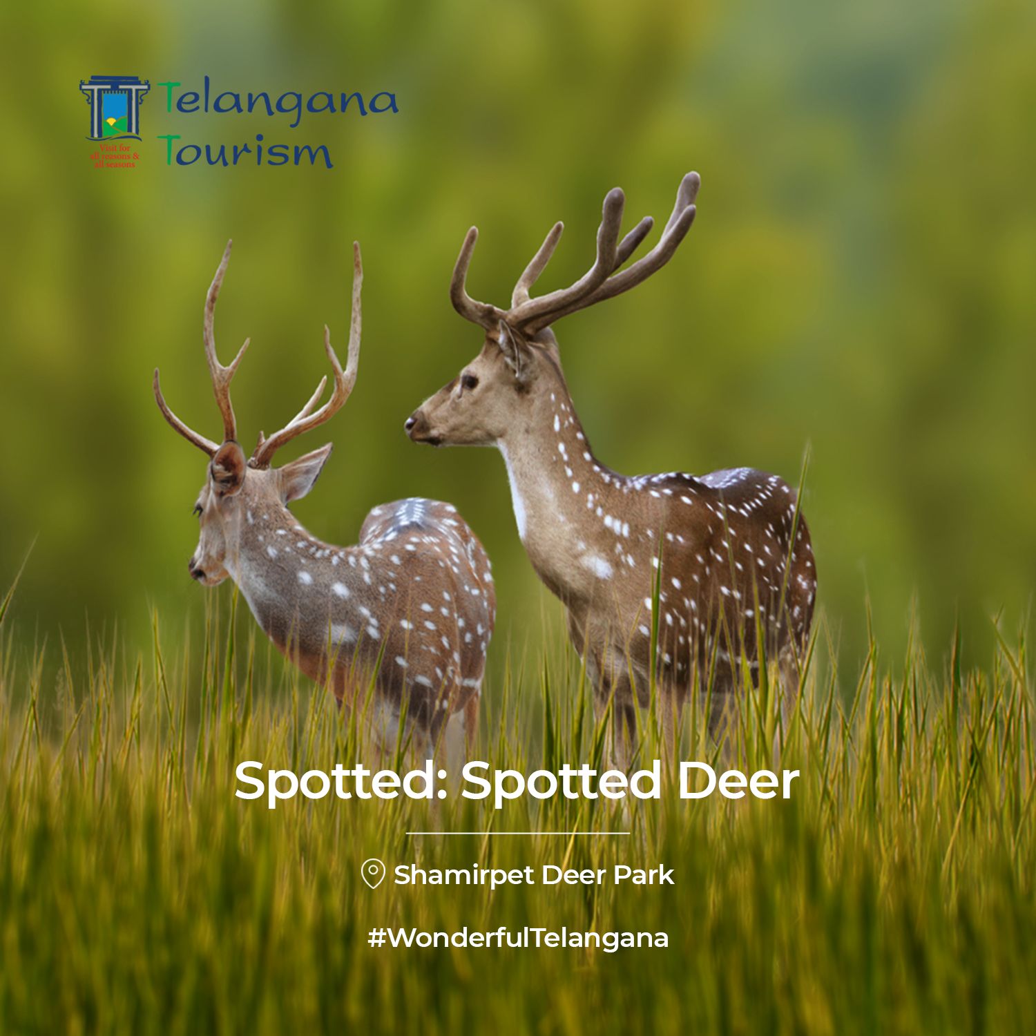 Telangana State Tourism on Twitter "Once a hunting ground for the