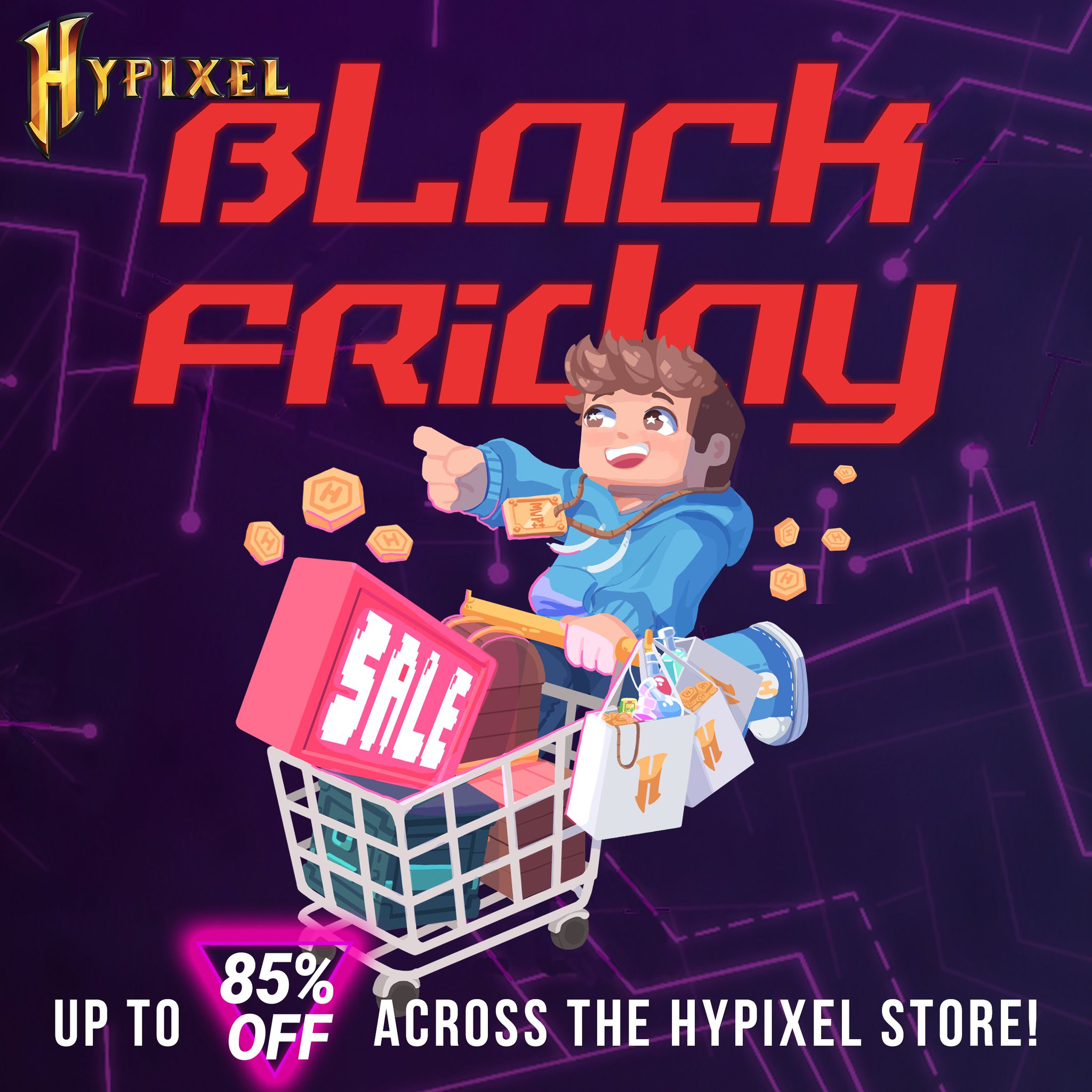 Hypixel Server on Twitter "The Black Friday Sale is still live! Make
