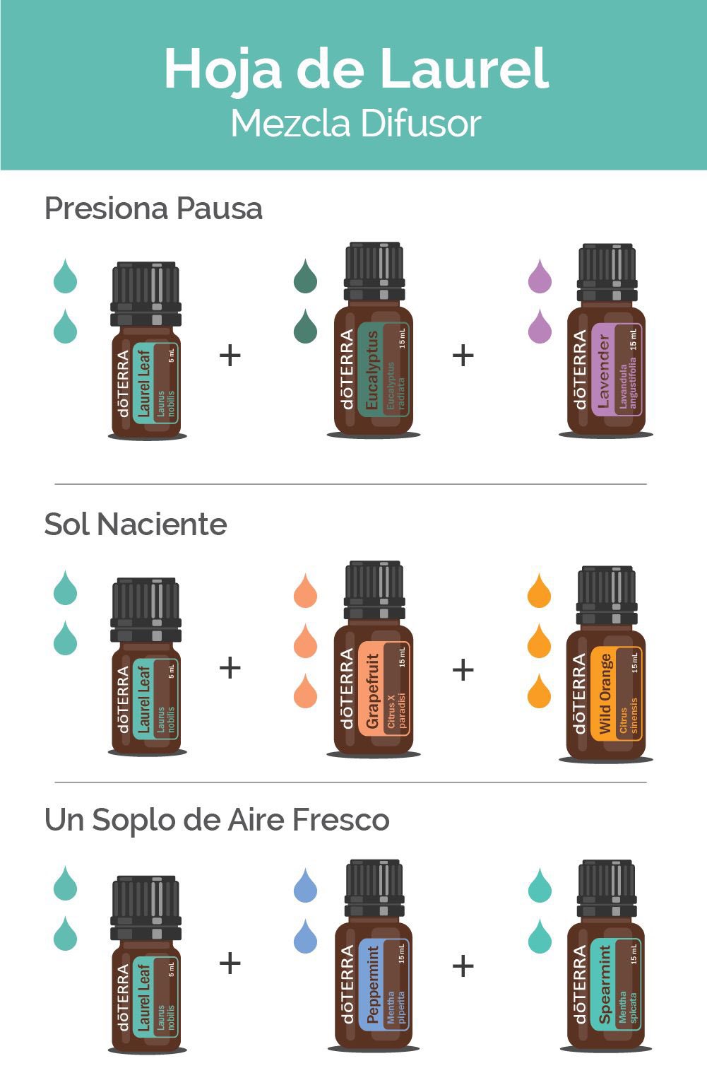 Hoja De Laurel Doterra
