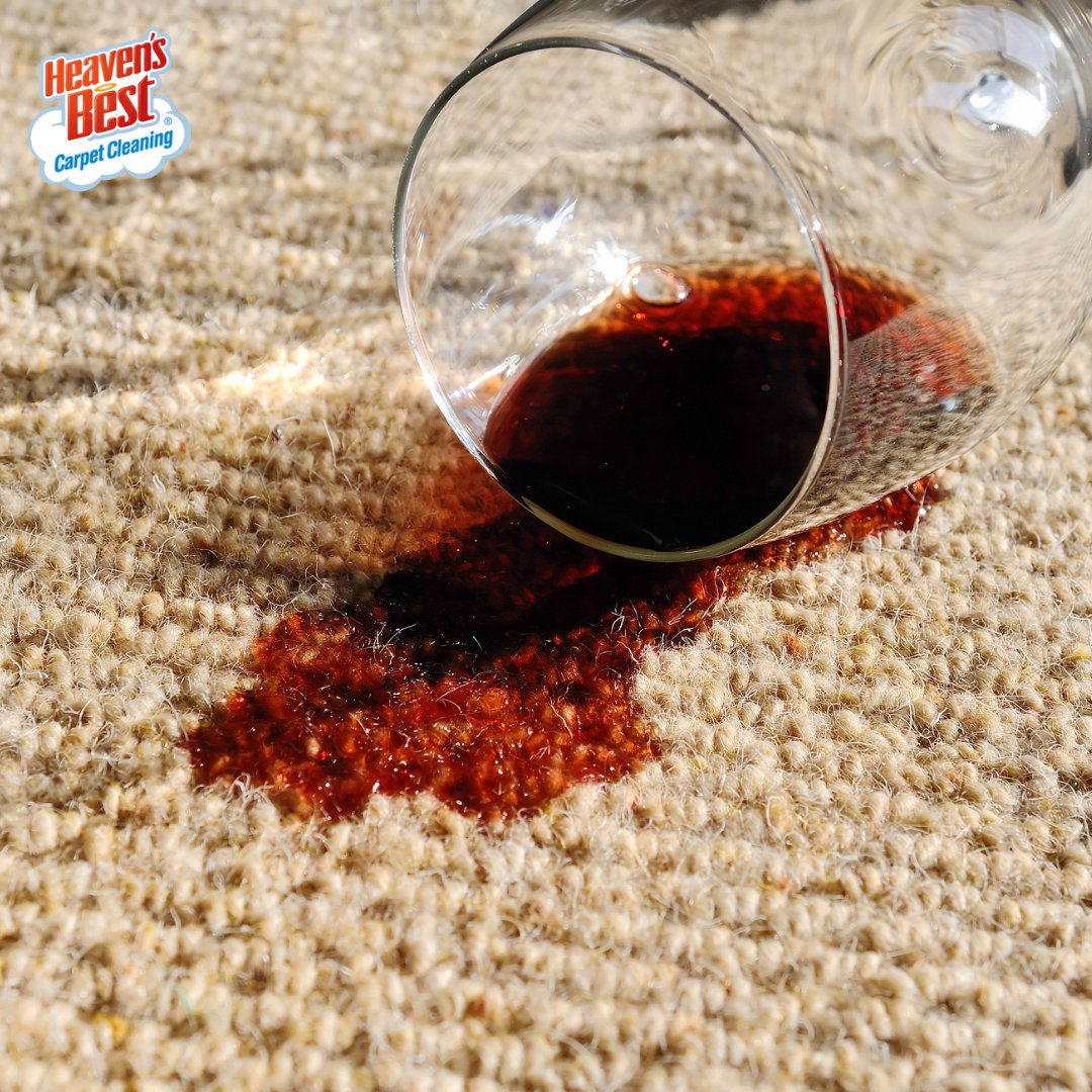 Professional Carpet Cleaning Helena Mt at Pa Smith blog