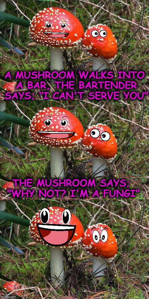 Magic Mushroom Clubhouse Twitter